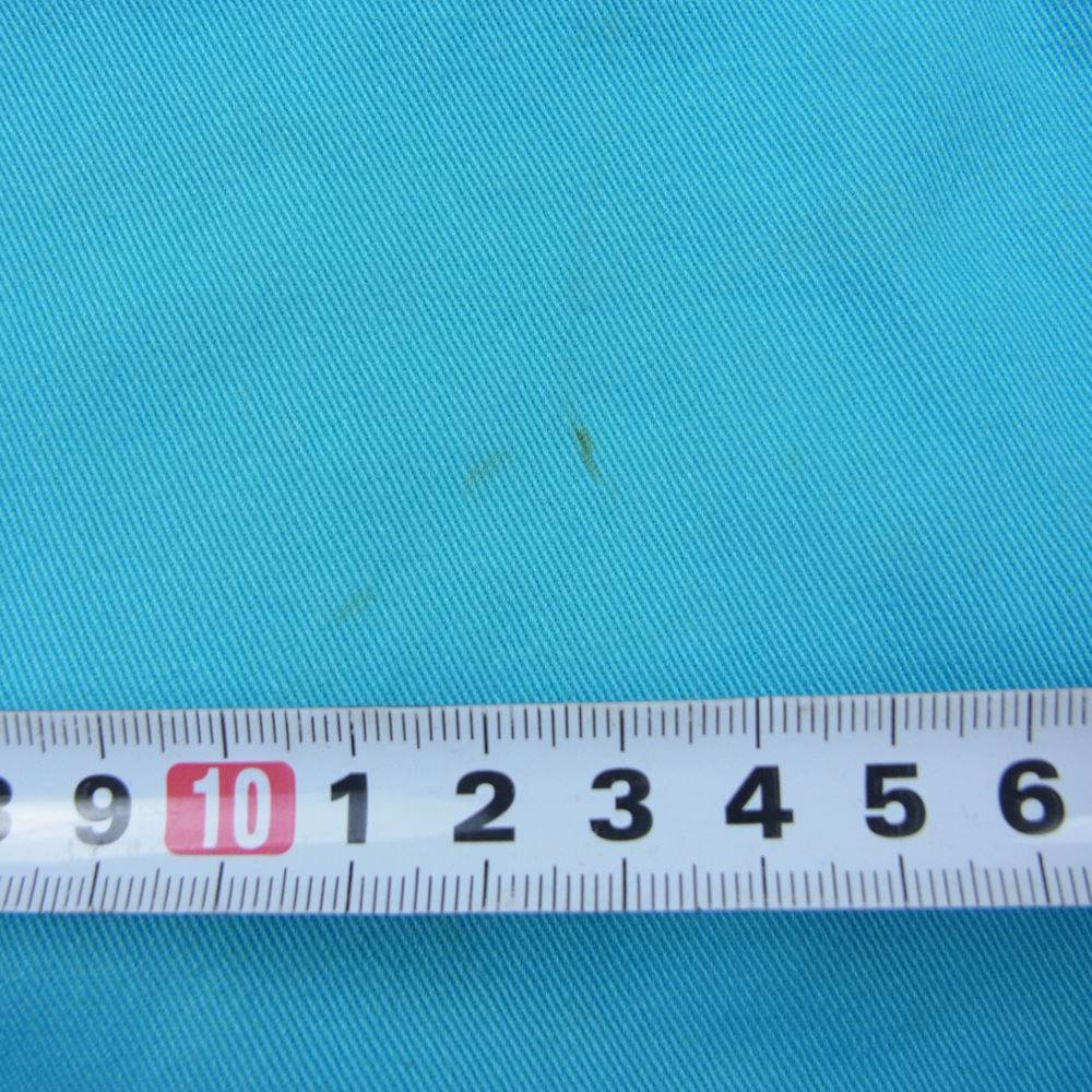 EVISU エヴィス Lot2005 カモメ ペイント デニム パンツ 水色系 ブルー系 34【中古】