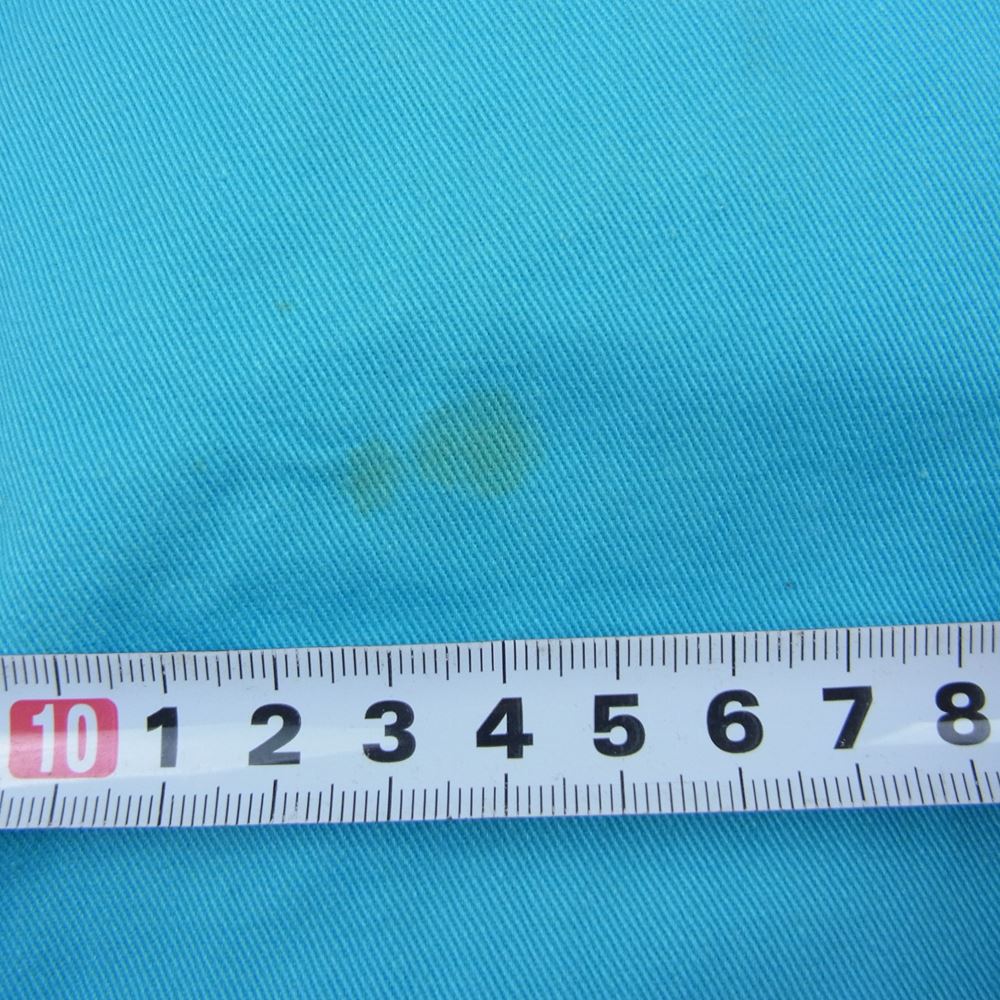 EVISU エヴィス Lot2005 カモメ ペイント デニム パンツ 水色系 ブルー系 34【中古】