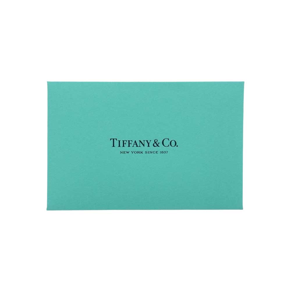 TIFFANY&Co. ティファニー キャットストリート スモール ショッピングトート 2WAY ハンドバッグ ショルダー ライトグリーン系【極上美品】【中古】