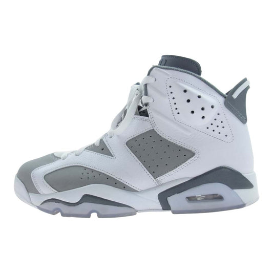NIKE AIR JORDAN ナイキ ジョーダン CT8529-100  6 CoolGrey クールグレー スニーカー グレー系 27.5cm【中古】