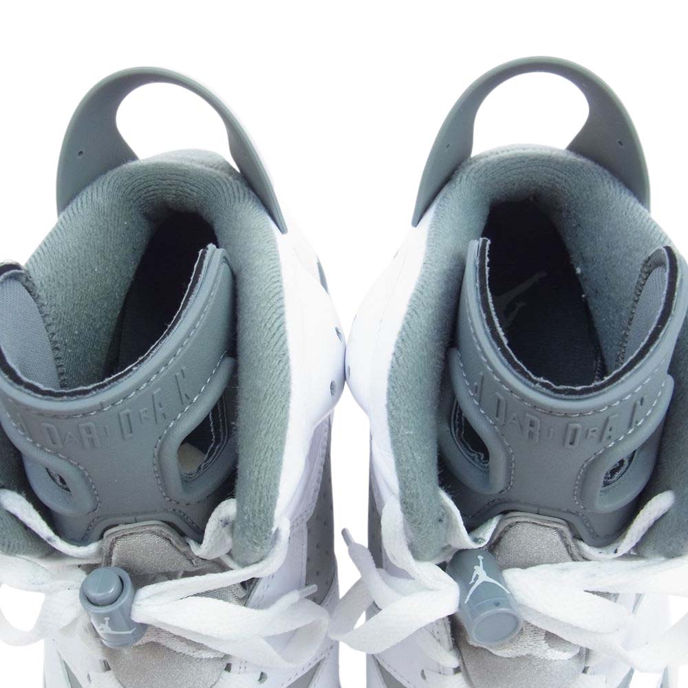 NIKE AIR JORDAN ナイキ ジョーダン CT8529-100  6 CoolGrey クールグレー スニーカー グレー系 27.5cm【中古】