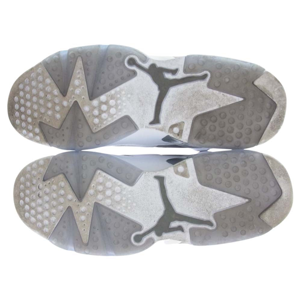 NIKE AIR JORDAN ナイキ ジョーダン CT8529-100  6 CoolGrey クールグレー スニーカー グレー系 27.5cm【中古】