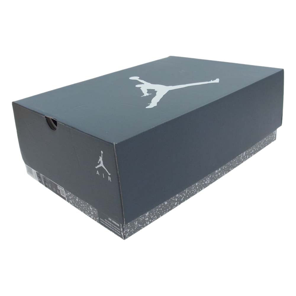 NIKE AIR JORDAN ナイキ ジョーダン CT8529-100  6 CoolGrey クールグレー スニーカー グレー系 27.5cm【中古】