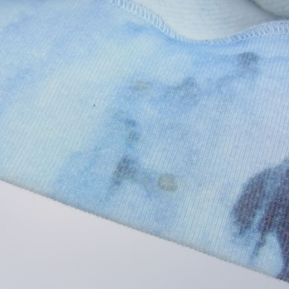 Supreme シュプリーム 21SS NF0A5G7S × THE NORTH FACE Ice Climb Hooded Sweatshirt ノースフェイス アイスクライム フーデッド スウェットシャツ プルオーバー パーカー ライトブルー系 L【中古】