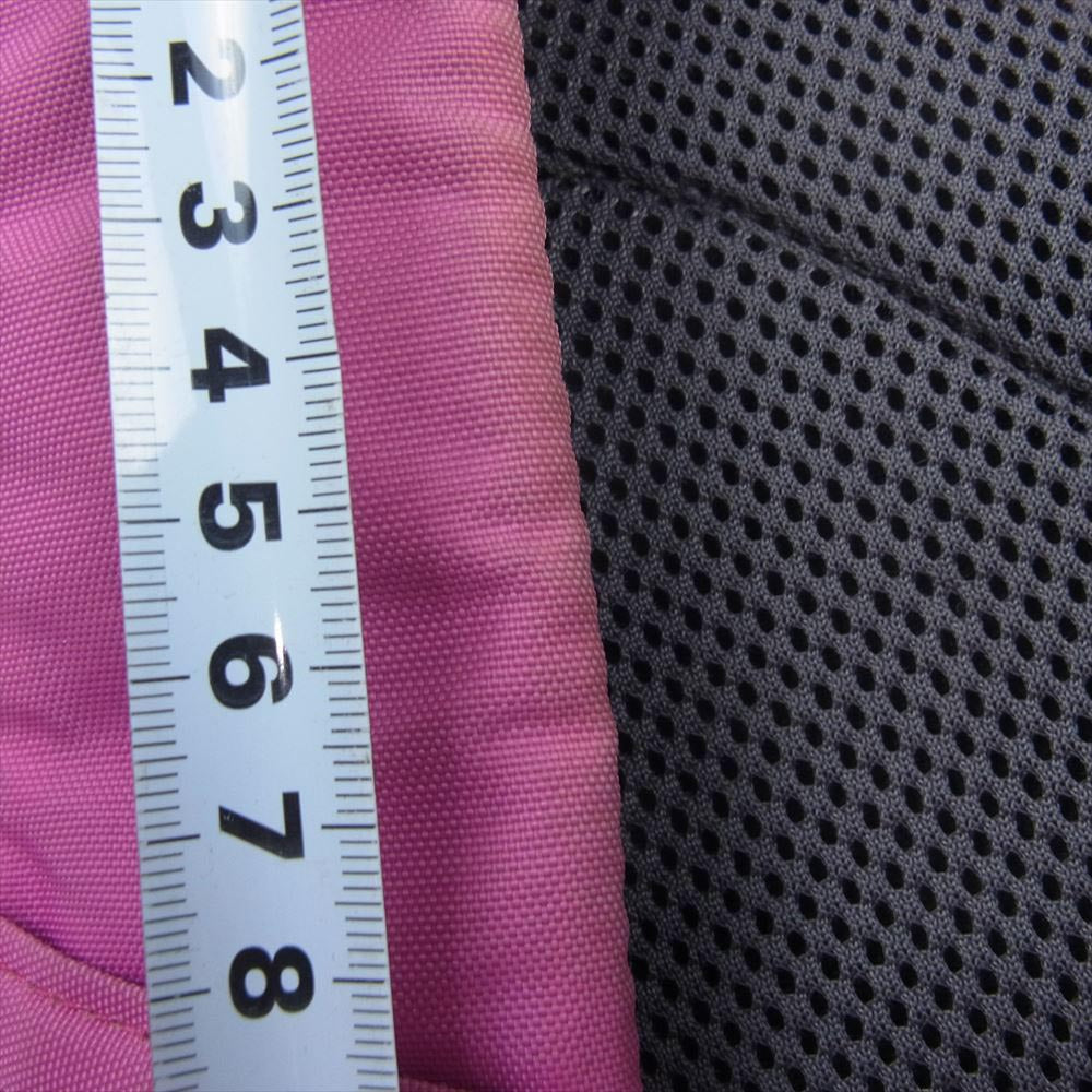 patagonia パタゴニア 48259FA11 ウエストバッグ ショルダーバッグ ピンク系【中古】