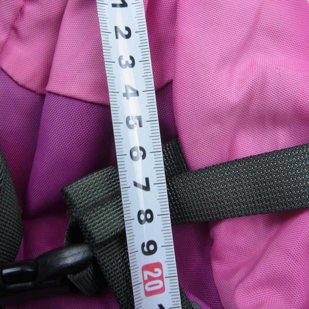 patagonia パタゴニア 48259FA11 ウエストバッグ ショルダーバッグ ピンク系【中古】
