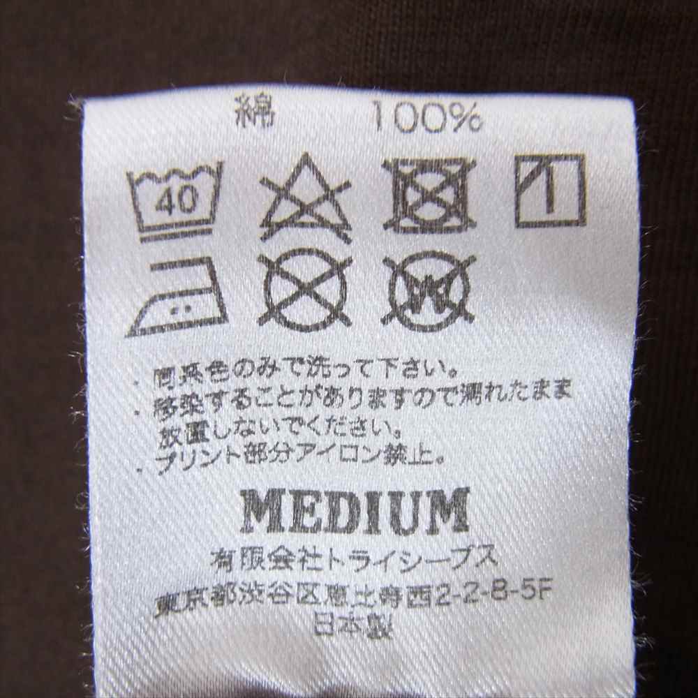 STANDARD CALIFORNIA スタンダードカリフォルニア SD 20th Anniversary Logo T 20周年 アニバーサリー ロゴ 半袖 Tシャツ ブラウン系 M【極上美品】【中古】