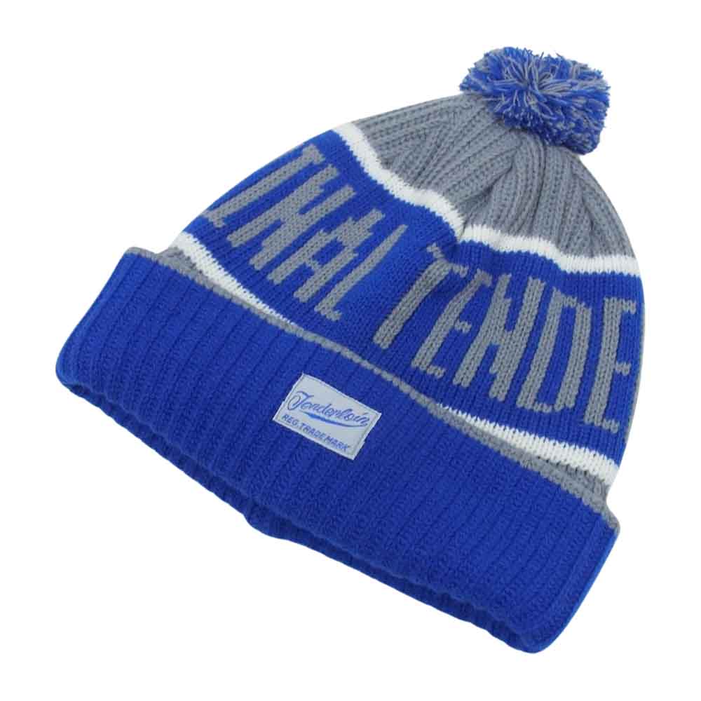 TENDERLOIN テンダーロイン 15AW  TDL BEANIE ニット キャップ ブルー系 ONE　SIZE【中古】