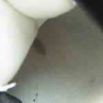 N.HOOLYWOOD エヌハリウッド 15FW-I × VANS バンズ  CHUKKA BOOT チャッカ スエード スニーカー ブラック系 28cm【中古】