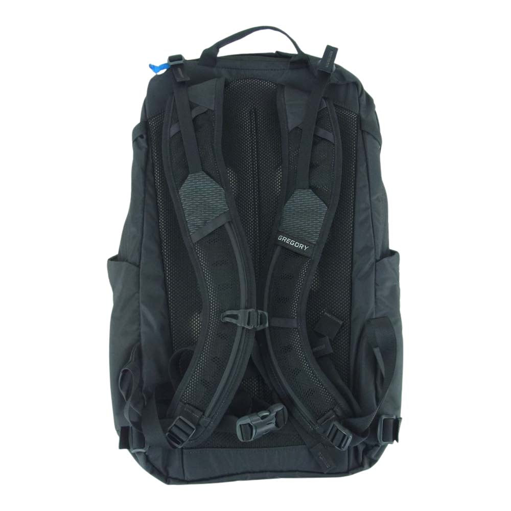 GREGORY グレゴリー イナーティア 20 シャドー バックパック リュック デイパック グレー系【中古】